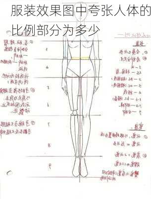 服装效果图中夸张人体的比例部分为多少