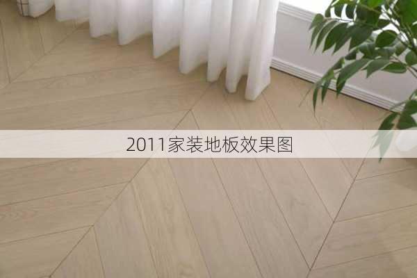 2011家装地板效果图