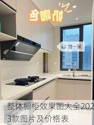 整体橱柜效果图大全2023款图片及价格表