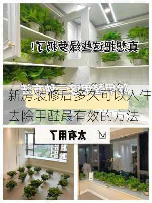 新房装修后多久可以入住去除甲醛最有效的方法